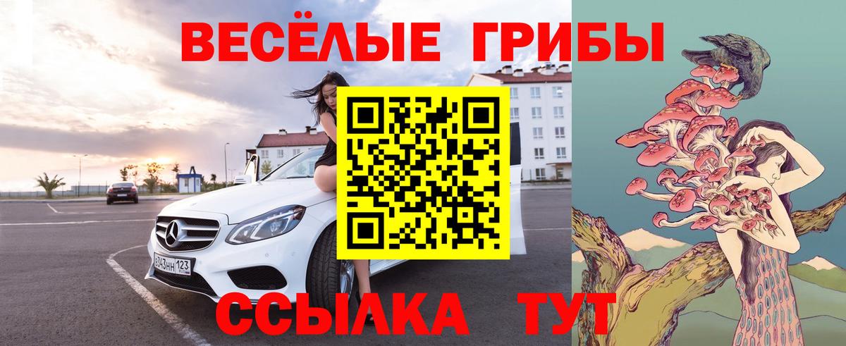 Топки  Галлюциногенные грибы Cubensis  закладки  Вход с VPN 